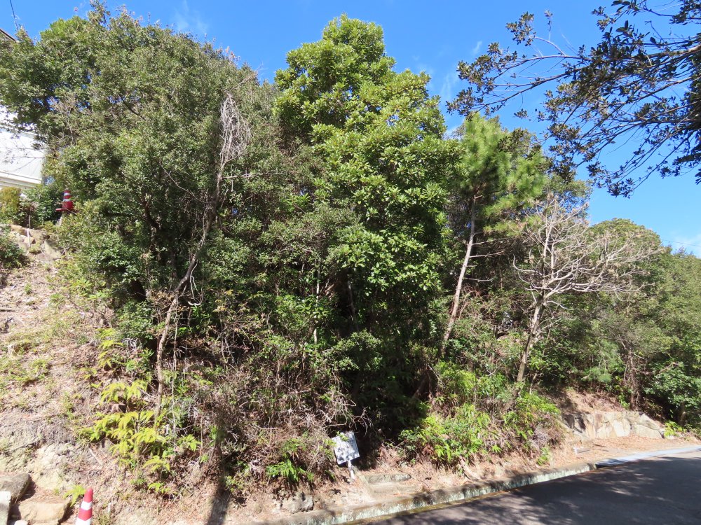 外観写真 物件：12002