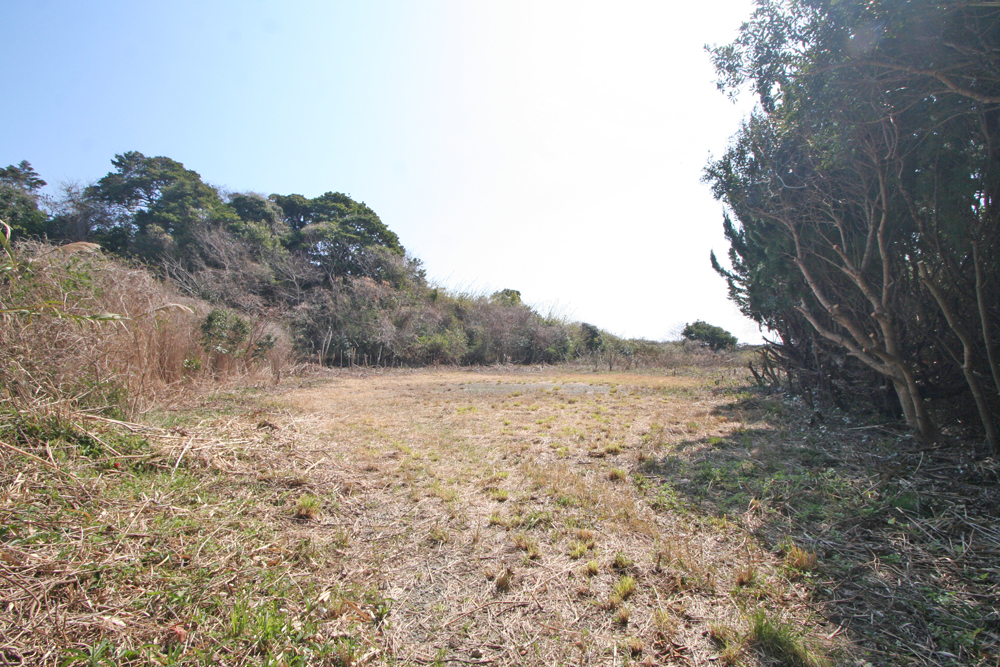 外観写真 物件：12013